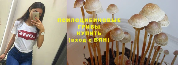 дмт Пересвет