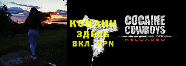 дмт Пересвет