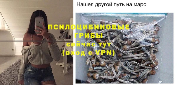ECSTASY Пестово