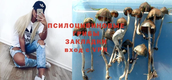ECSTASY Пестово