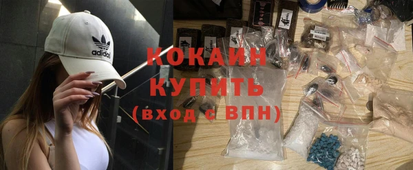 дмт Пересвет