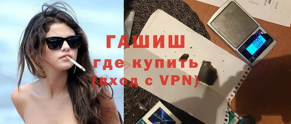 дмт Пересвет