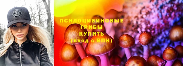 дмт Пересвет