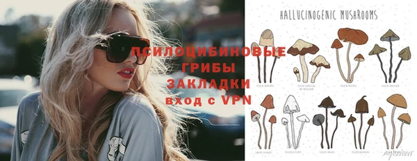 мдпв Переславль-Залесский