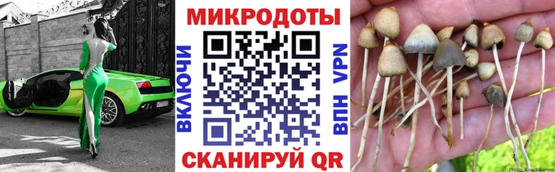 цены   ОМГ ОМГ сайт  Галлюциногенные грибы Psilocybine cubensis  Котельниково 
